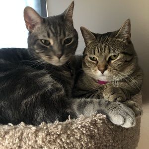 Meet your Posher, Elena